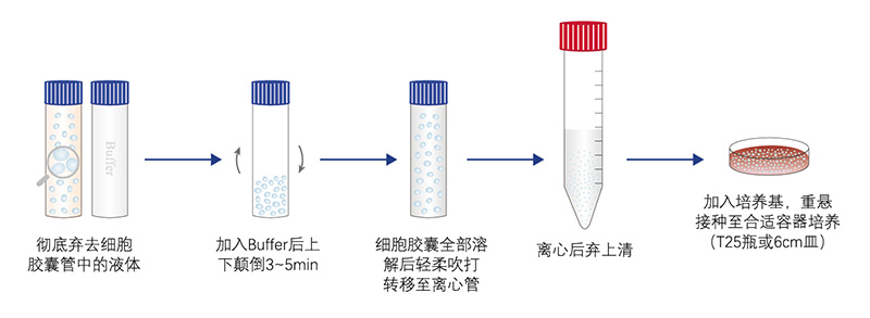 細胞解凍