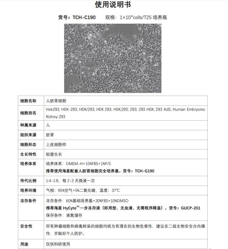 HEK293細胞說明書