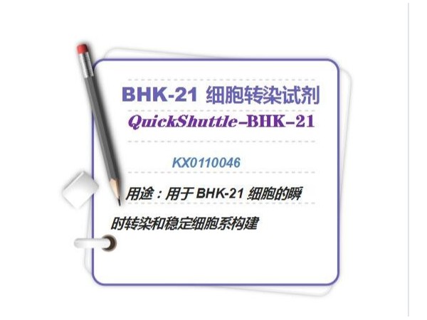 QuickShuttle-BHK-21 細(xì)胞轉(zhuǎn)染試劑