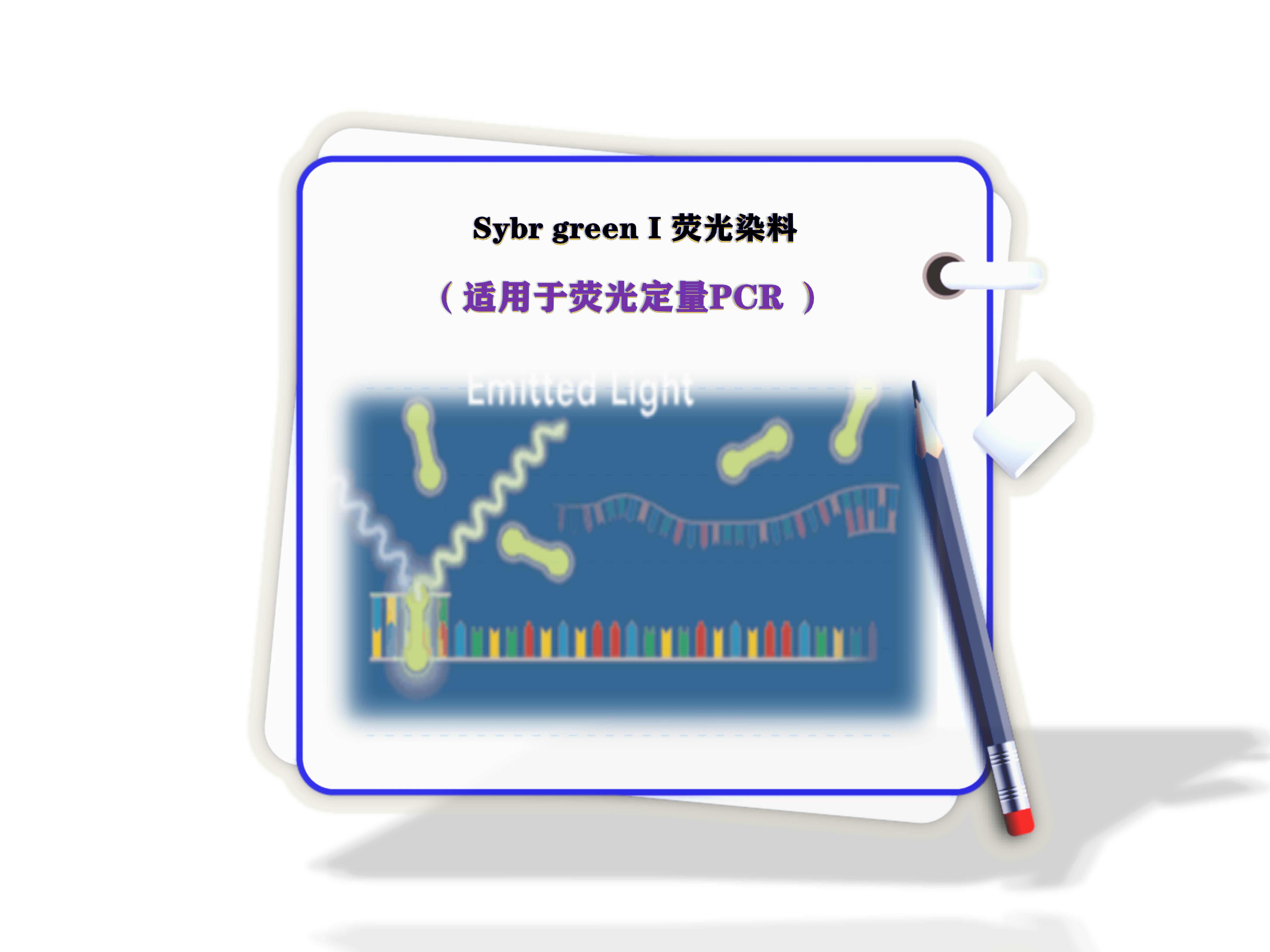 sybr green熒光染料?-熒光定量PCR