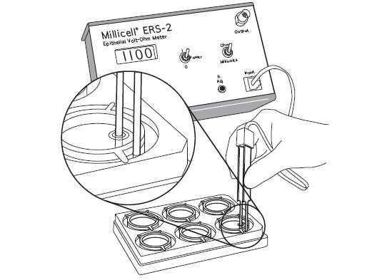 ERS-2-細(xì)胞電阻儀