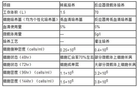 細(xì)胞培養(yǎng)