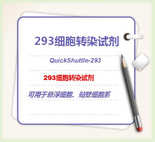 QuickShuttle-293 HEK293細胞轉(zhuǎn)染試劑