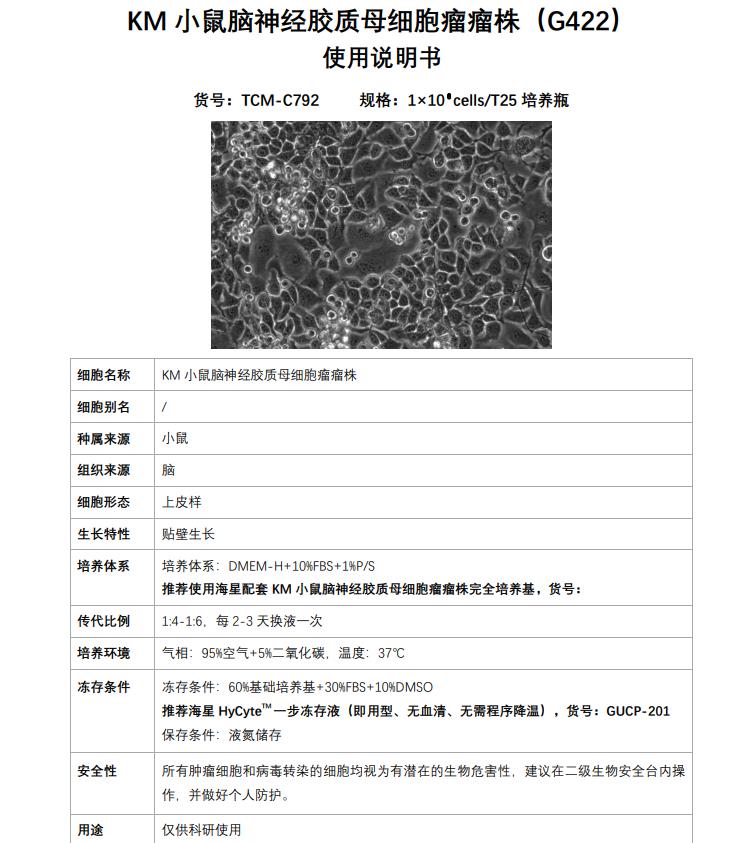 G422細(xì)胞培養(yǎng)