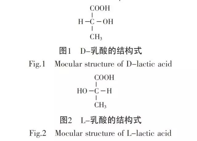 乳酸分析儀結(jié)構(gòu)