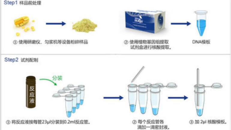 pcr實驗步驟-pcr擴增的原理和步驟