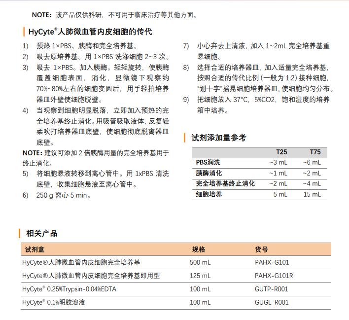 血管內皮