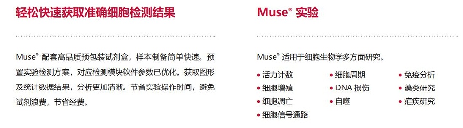 Muse