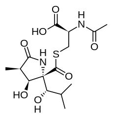 蛋白酶抑制劑