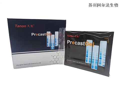 Tanon電泳Precast Gel天能SDS預(yù)制膠-Western blot