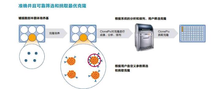 ClonePix細(xì)胞篩選系統(tǒng)