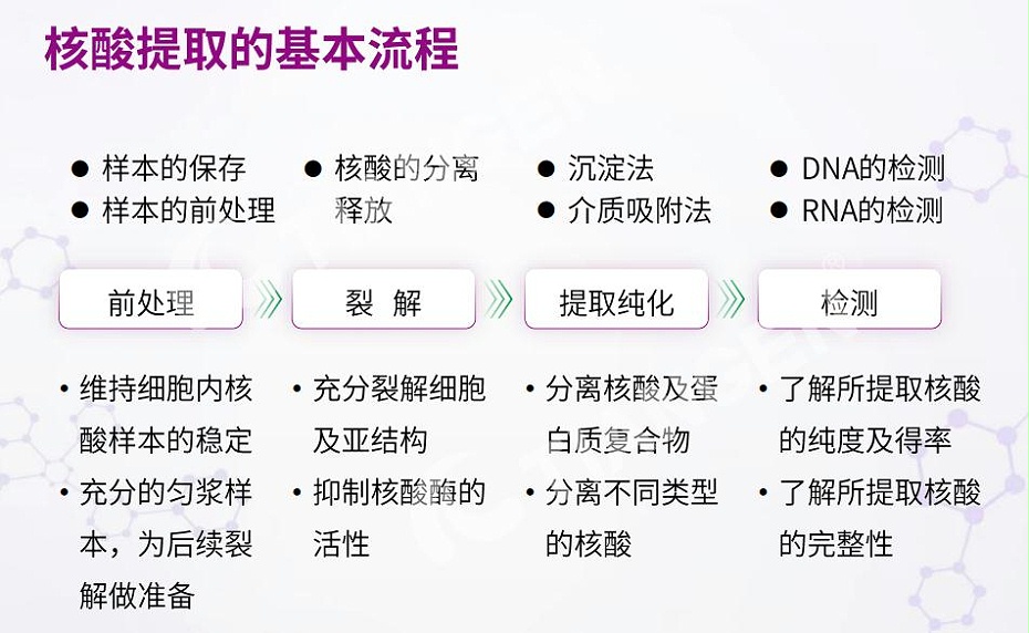 核酸提取流程