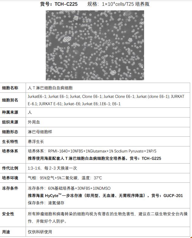 Jurkat細胞使用說明