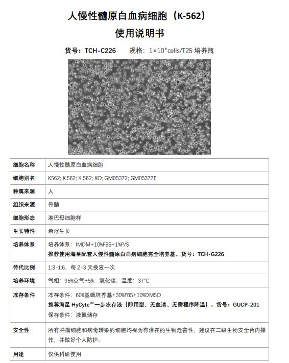 K562細胞使用說明書