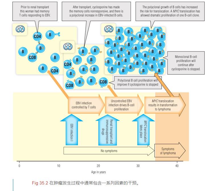 腫瘤免疫6