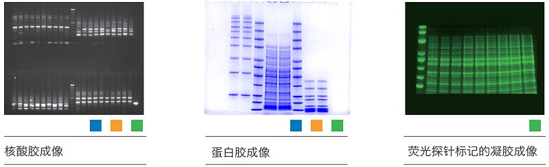 凝膠成像儀