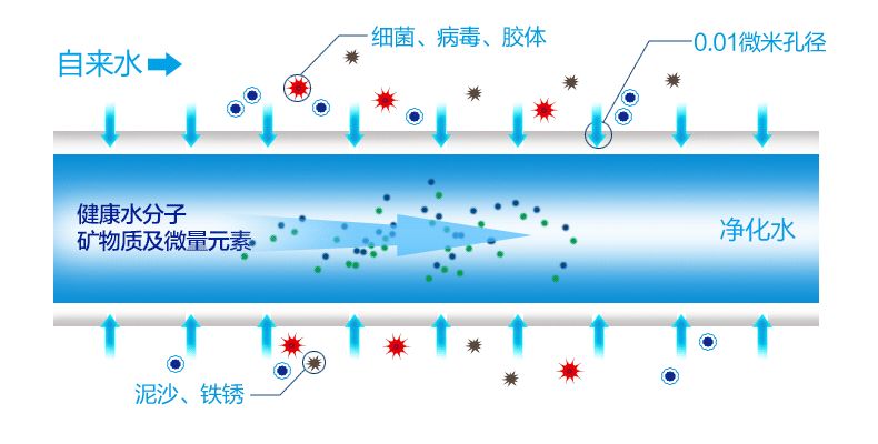 凈水器結(jié)構(gòu)