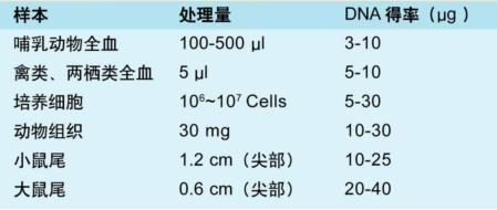 組織DNA提取