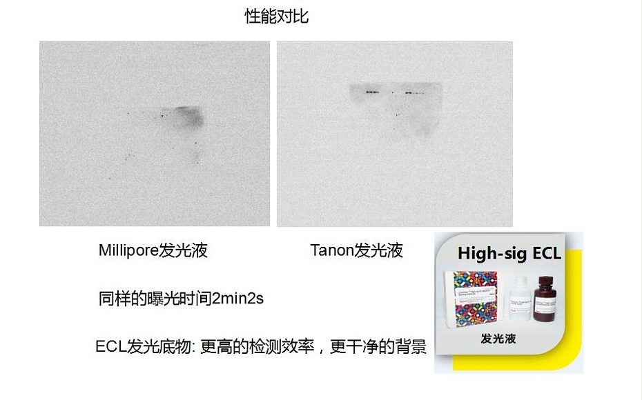 天能發(fā)光液性能對(duì)比