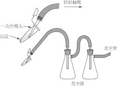 DNA測序