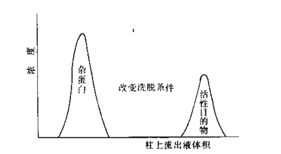 親和層析圖譜