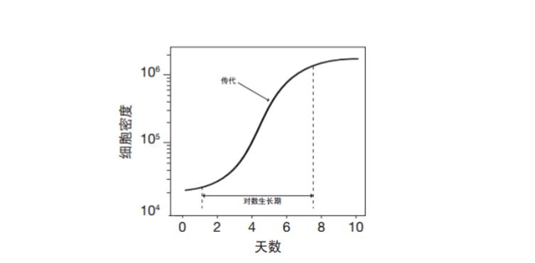 載體