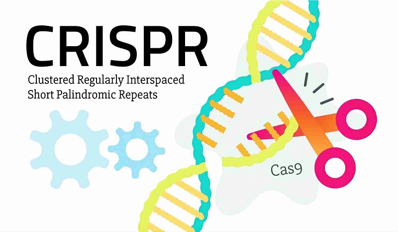 CRISPR9