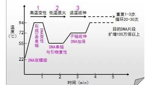 PCR擴(kuò)增儀的原理及擴(kuò)增實(shí)驗(yàn)中存在的問題