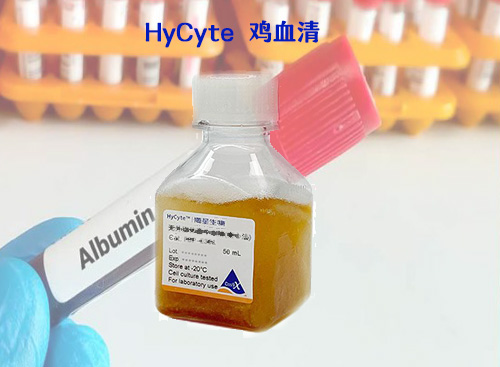 HyCyte 雞血清-細胞培養(yǎng)級