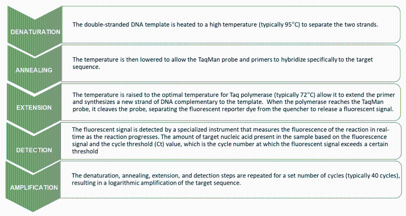 熒光定量PCR步驟