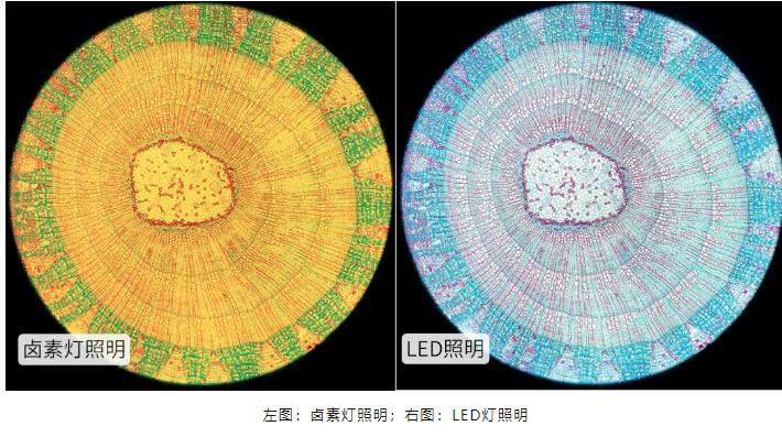 鹵素?zé)粽彰饔覉DLED燈照明