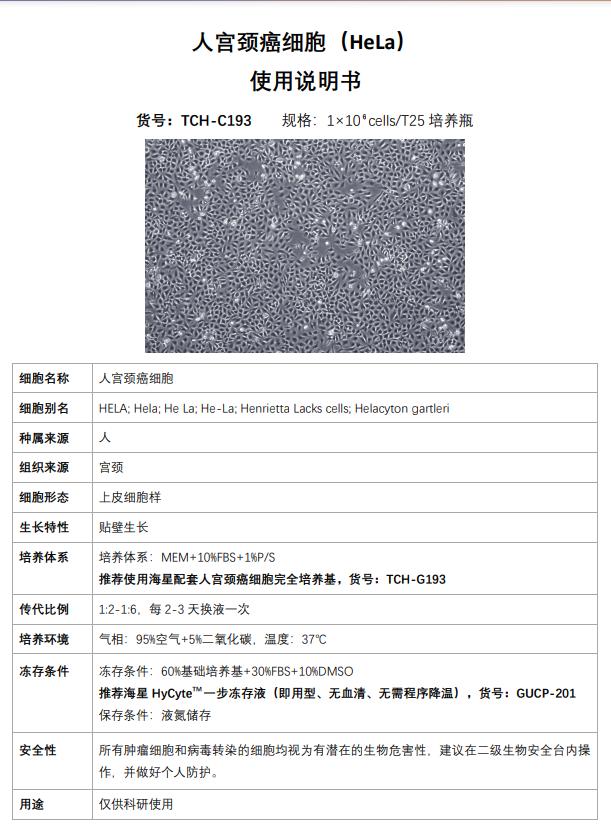 hela 細(xì)胞說明書