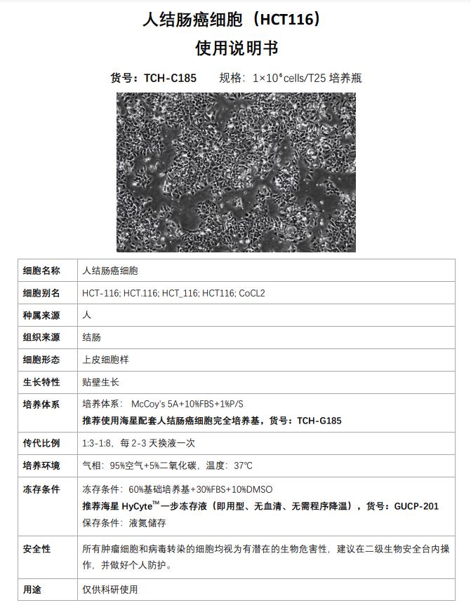 結腸癌細胞HCT116jpg