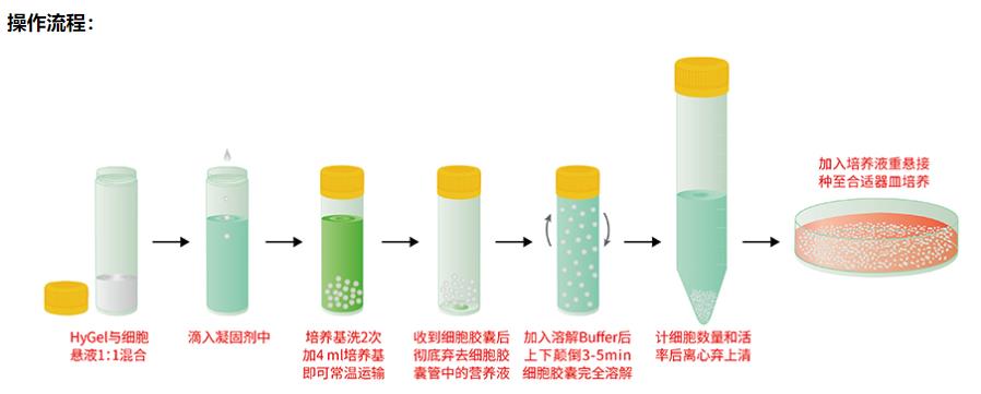 細(xì)胞膠囊試劑盒操作說明