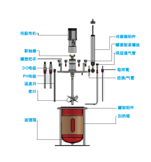 BioCore-QF單聯(lián)臺式微生物發(fā)酵罐（玻璃）