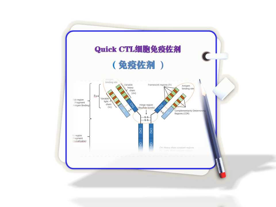 Quick CTL-細胞免疫佐劑-免疫佐劑?