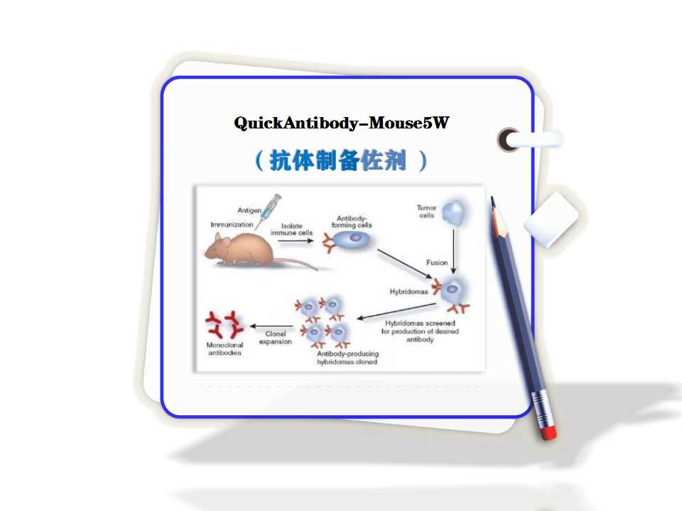 QuickAntibody-Mouse5W-抗體制備佐劑-免疫佐劑