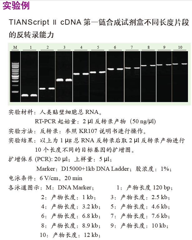 QPCR