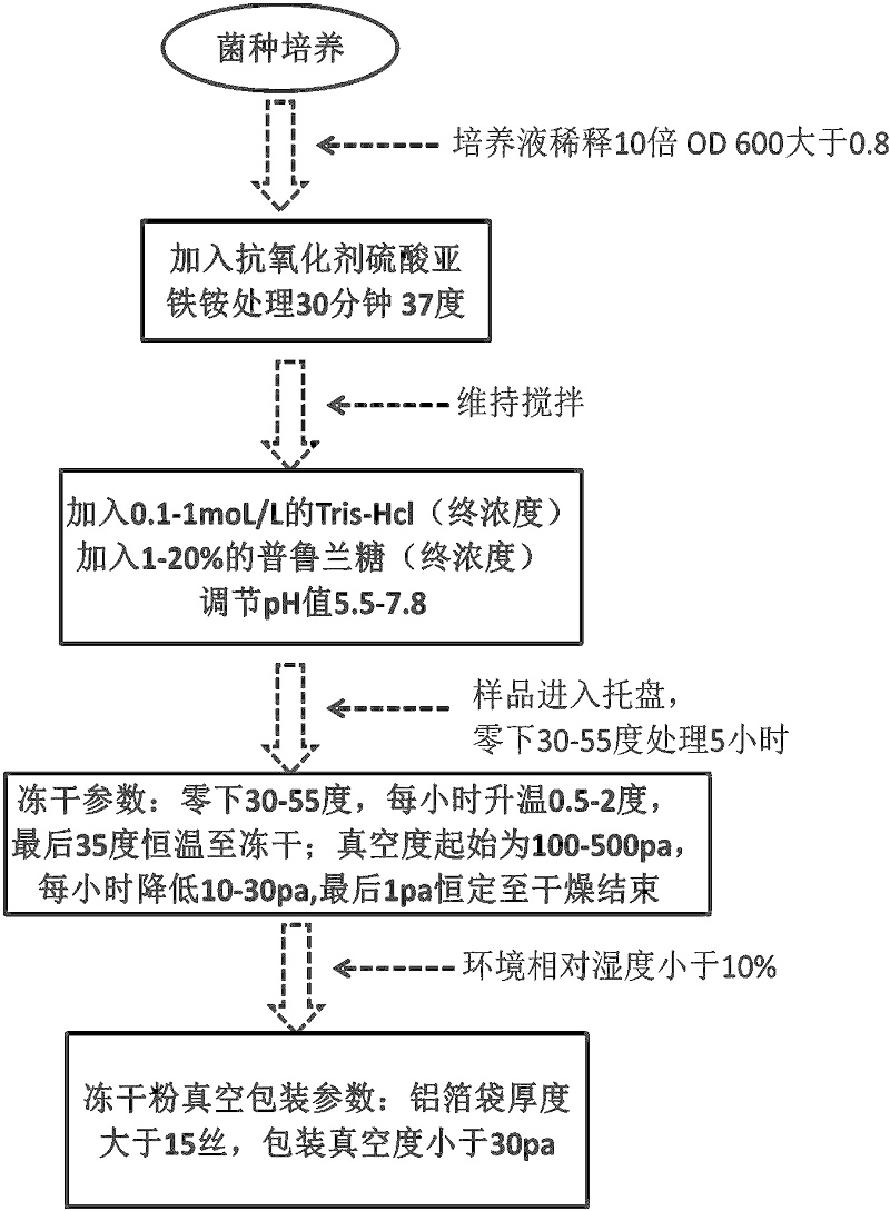 微生物培養(yǎng)