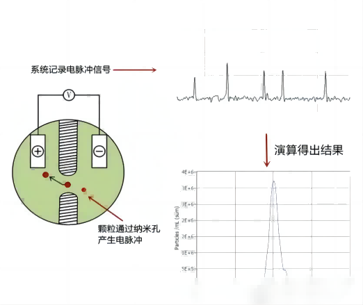 電脈沖