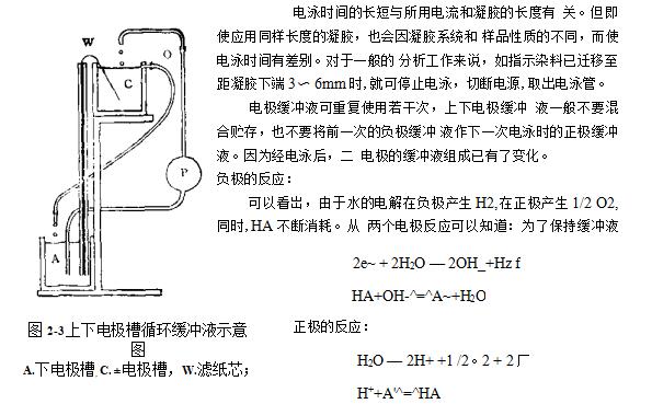 瓊脂糖凝膠電泳