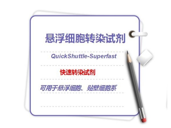 懸浮細(xì)胞轉(zhuǎn)染試劑-?QuickShuttle-Superfast-快速轉(zhuǎn)染試劑?