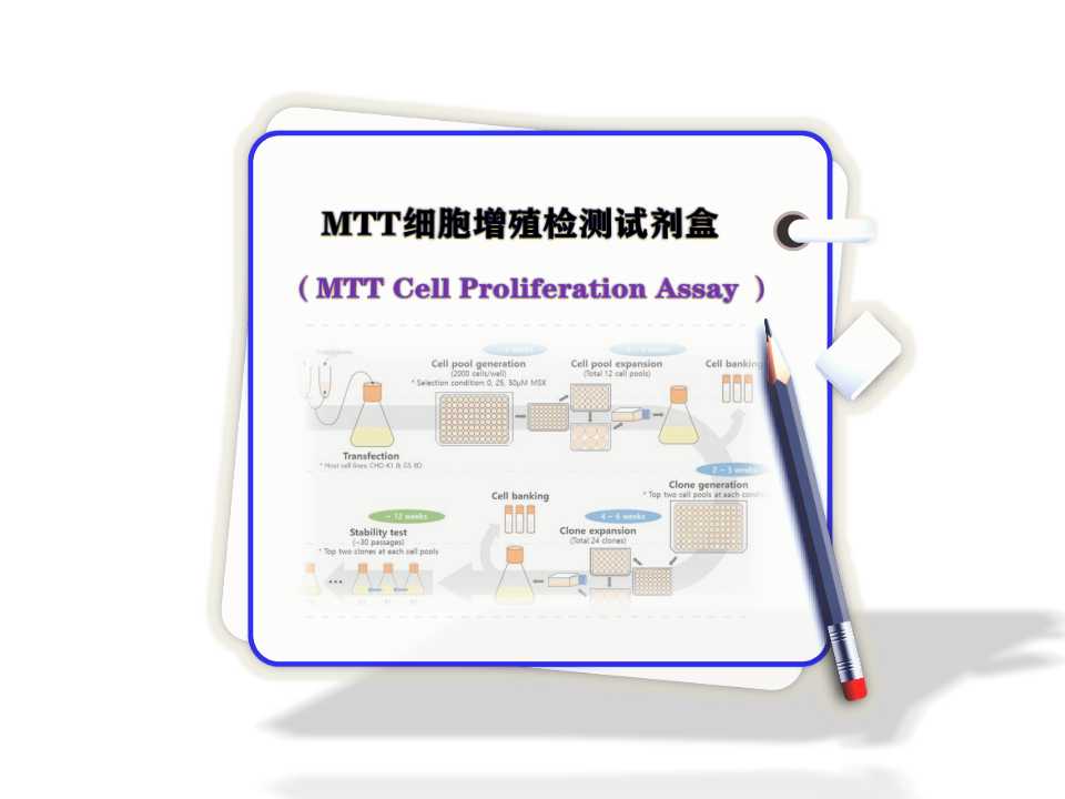 MTT 細胞增殖檢測試劑盒- MTT Cell Proliferation Assay