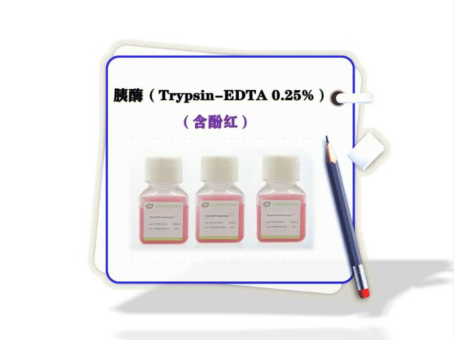 胰酶Trypsin-EDTA 0.25%（含酚紅）