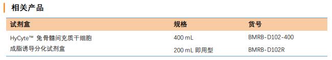 兔骨髓干細胞