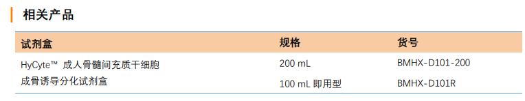 成骨細胞誘導