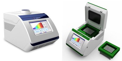 熒光定量pcr