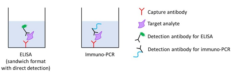 酶聯(lián)免疫PCR