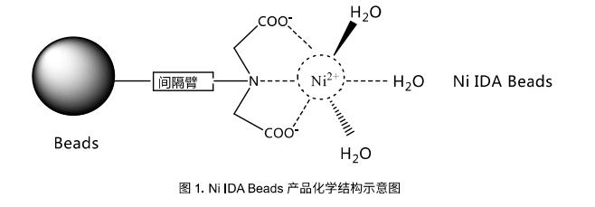 NI IDA示意圖