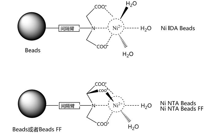 NI-NTA-BEADS